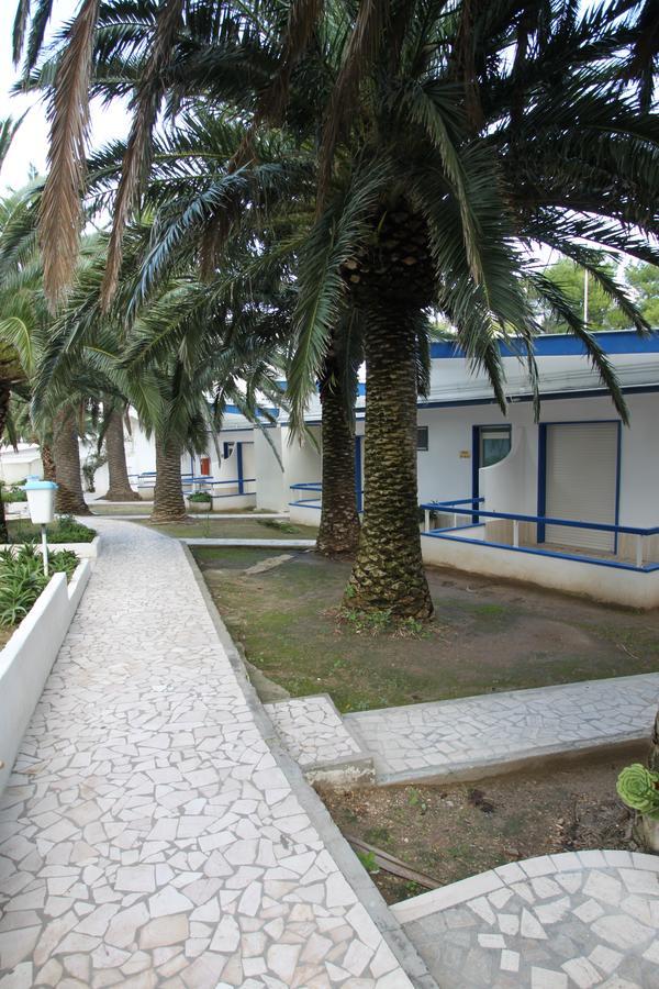 Hotel Gabbiano San Domino Exterior photo
